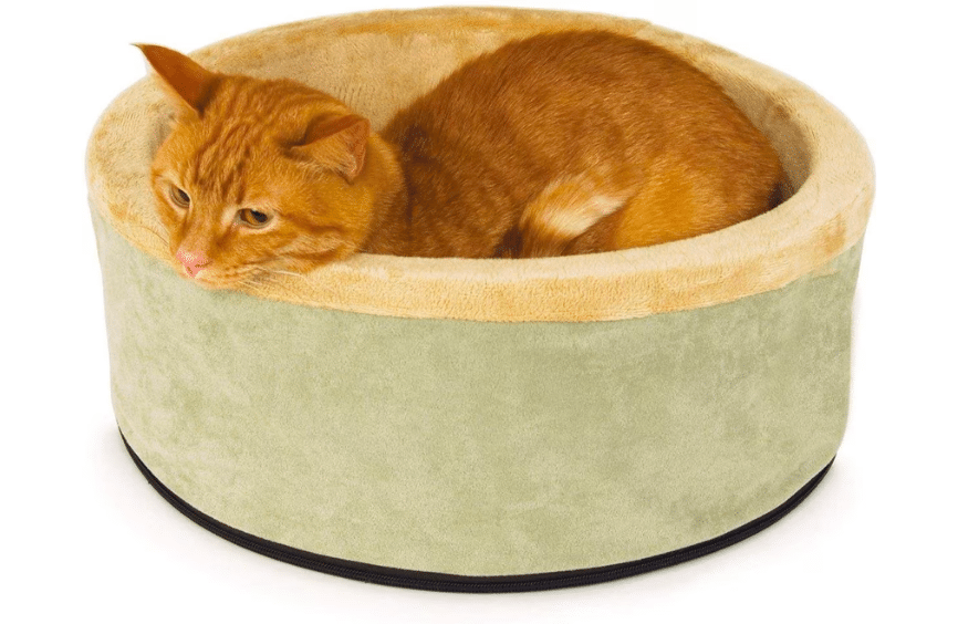 cat heated bed
