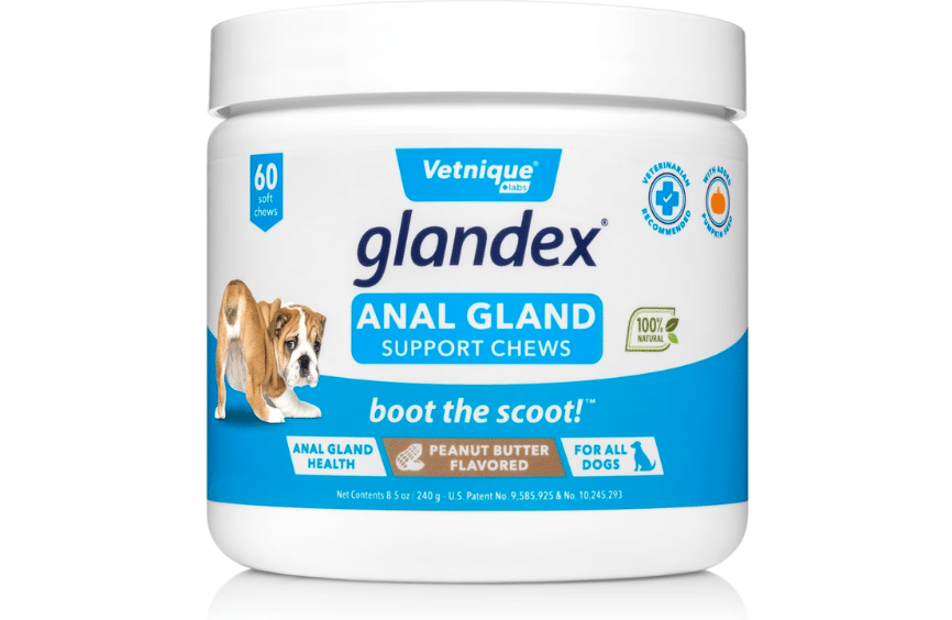 dog anal gland supplement
