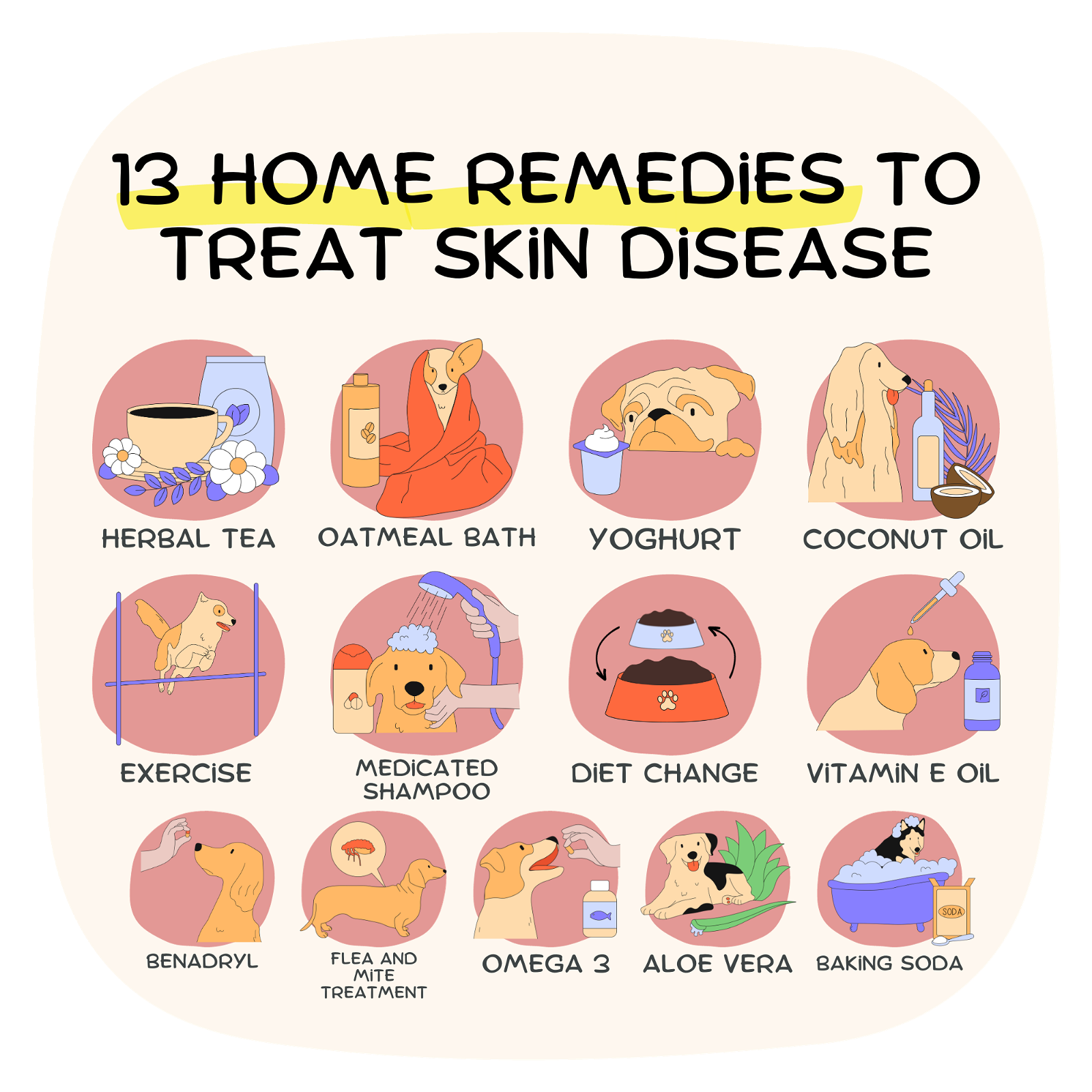 home remedies for dog skin disease